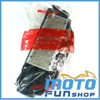 RV 250 270&GTS 300–濾清器芯 (1)